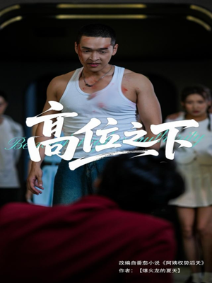 高位之下（65集）排行榜前十的短剧推荐