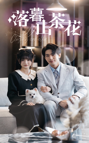 落幕山茶花(50集) 落幕山茶花(50集)短剧熬夜也想看完的短剧