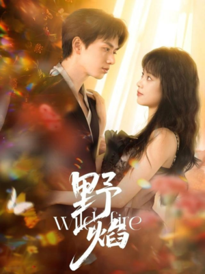 野焰(60集) 野焰(60集)火爆短剧来袭好看又上头