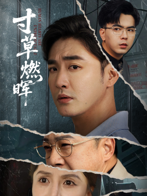 寸草燃晖(70集) 寸草燃晖(70集)短剧结局合集限免刷