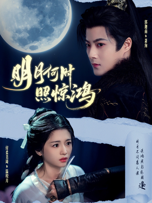 明月何时照惊鸿(80集) 明月何时照惊鸿(80集)短剧追到爽热门短剧抢先看
