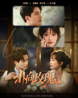 扑向玫瑰(77集) 扑向玫瑰(77集)热门短剧抢先看