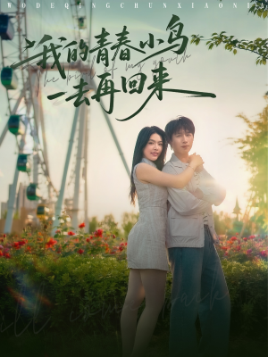 我的青春小鸟一去再回来（95集）关注我每天分享热门短剧