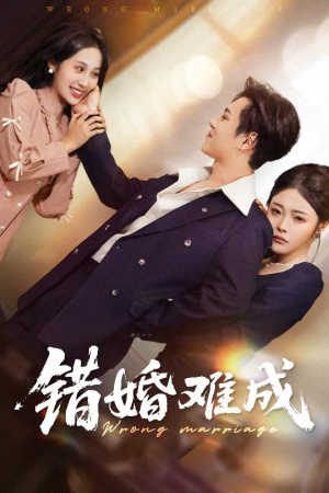 错婚难成（45集）男女都爱看的短剧片段