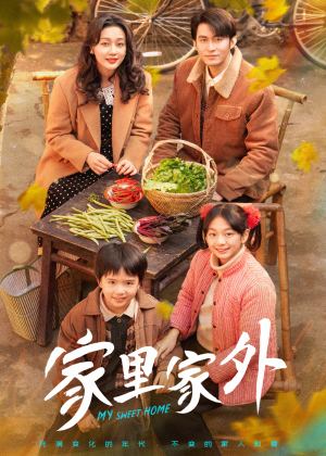 家里家外（79集）无需会员短剧免费看