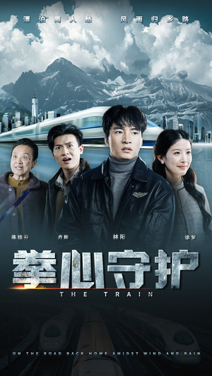 拳心守护（28集）免费观看排行榜前十短剧全集