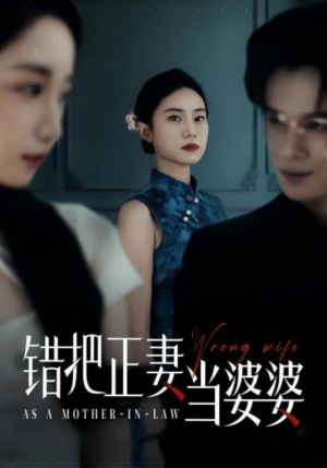 错把正妻当婆婆（46集）全集短剧免费观看不收费