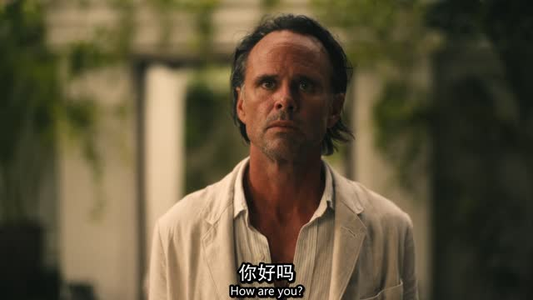 白莲花度假村（全集）最近很火的短剧