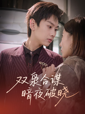 双枭合谋暗夜破晓（30集）高清无码短剧免费看