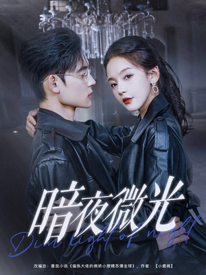 暗夜微光（86集）短剧更新抢先看