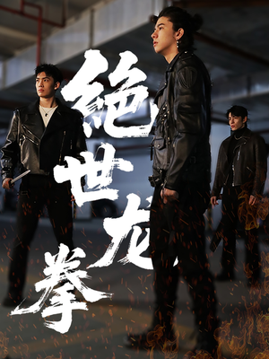 绝世龙拳（32集）零花钱看整部短剧的网站
