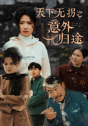天下无拐之意外归途（61集）精彩短剧看全集