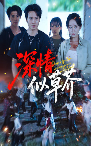 深情似草芥（51集）免费短剧看不停