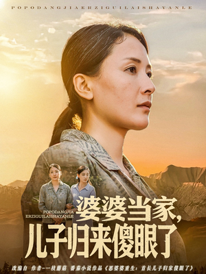 婆婆当家儿子归来傻眼了（80集）喜欢短剧的看过来