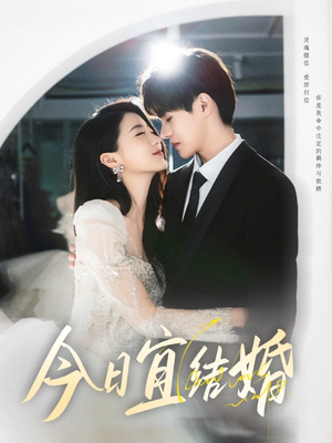 今日宜结婚（80集）真的爱了这部短剧太好看
