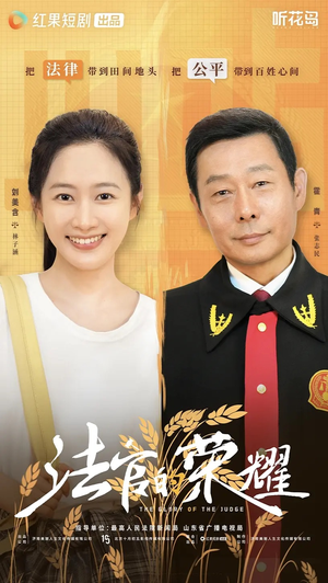 法官的荣耀（5集全）红果短剧app超部短剧免费看