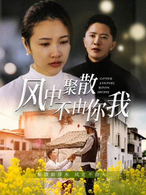 风中聚散不由你我（41集）短剧终章免费大放送