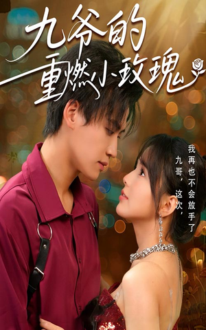 九爷的重燃小玫瑰（67集）短剧全集解锁零收费