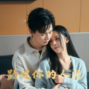 路过你的人间（31集）无需掏钱整部剧免费看短剧