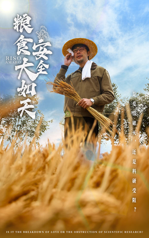 粮食安全大如天（43集） 免费短剧完整版