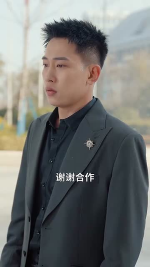 且把爱意寄流光（100集）重生题材短剧全集免费的平台