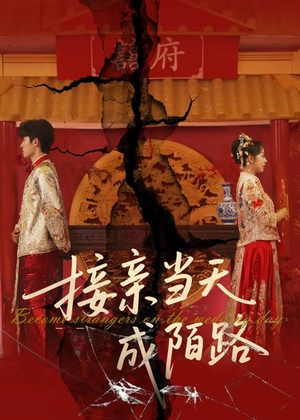 接亲当天成陌路（50集）蛋花短剧免费看全集