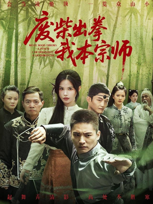 废柴出拳我本宗师（61集）零花钱看整部剧的短剧平台