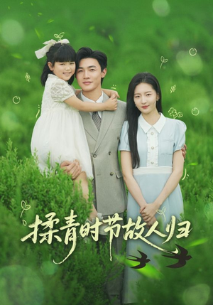 揉青时节故人归（60集）每天分享不一样短剧剧情