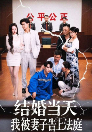 结婚当天我被妻子告上法庭（30集）我是土狗我爱看推荐