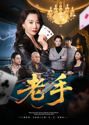 老手（36集）全集免费在线观看短剧无广告