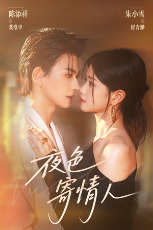 夜色寄情人（108集）经典老剧短剧免费看