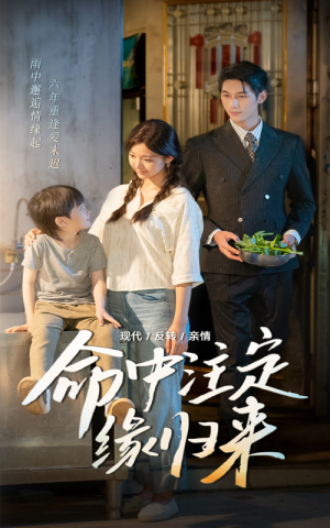 命中注定缘归来（63集）今日热门短剧推荐