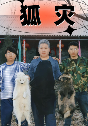 狐灾（25集）短剧追到爽热播短剧