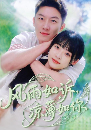 风雨如诉凉薄如你（70集）全集短剧免费完整版在线观看