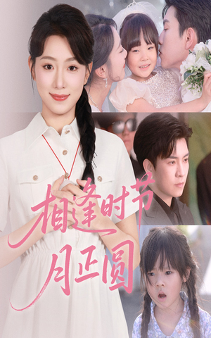 相逢时节月正圆（54集）短剧全集高清无码版