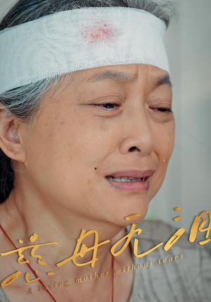 慈母无泪（30集）零花钱看整部短剧的优质平台