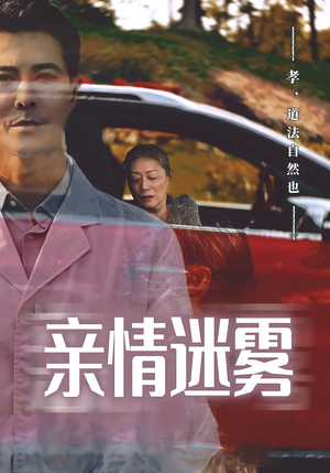亲情迷雾（30集）全网最全短剧资源免费看