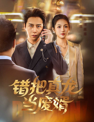 错把真龙当废婿（60集）红果免费短剧app免费看全集