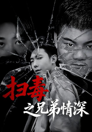 扫毒之兄弟情深（50集）短剧已完结一口气看完真爽