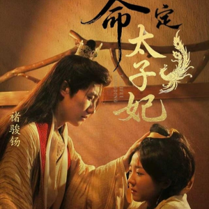 命定太子妃（63集）精彩短剧分享。
