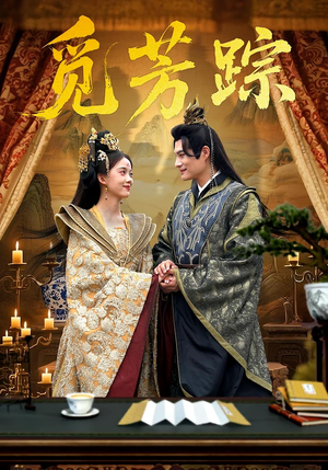 觅芳踪（91集）全能主妇热播短剧抢先看大结局