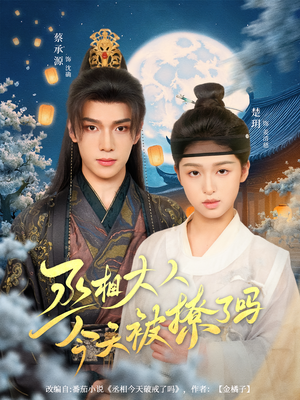 丞相大人今天被撩了吗（80集）短剧合集导演剪辑版