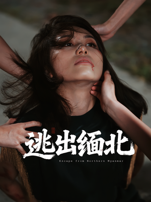 逃出缅北（62集）精彩短剧随心推
