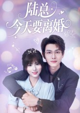 陆总今天要离婚（81集）全集短剧免费观看不收费