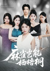 麻雀岂能栖梧桐（31集）短剧点击左下角看全集