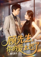 顾先生你的爱太迟了（60集）短剧免费看全集