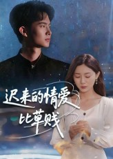 迟来的情爱比草贱（46集）免费短剧全集看
