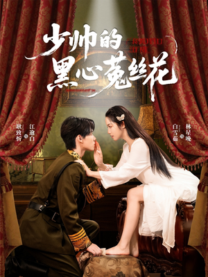 少帅的黑心菟丝花（60集）红果短剧免费看剧