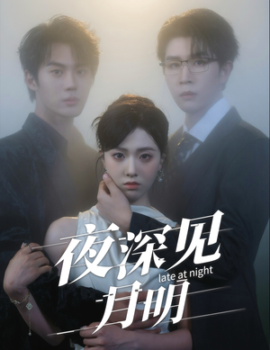 夜深见月明（50集）全集免费看热门短剧推荐