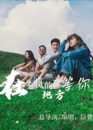 在有风的地方等你（32集）热门短剧好看又上头